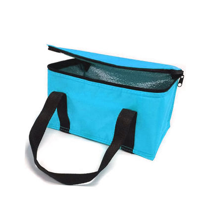 OEM Custom Printing Soft Insulated Cooler Bag 21*13*14 Cm With 4L 16L 32L Capacity