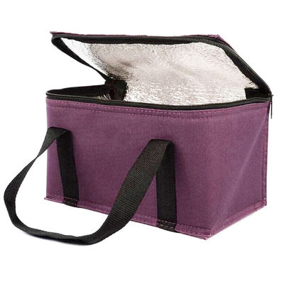 OEM Custom Printing Soft Insulated Cooler Bag 21*13*14 Cm With 4L 16L 32L Capacity