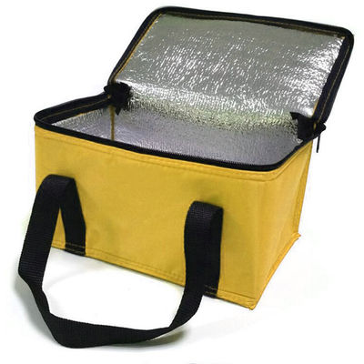 OEM Custom Printing Soft Insulated Cooler Bag 21*13*14 Cm With 4L 16L 32L Capacity