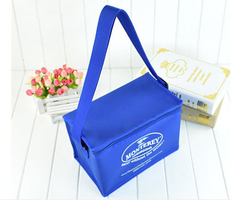 Portable Colorful Soft Insulated Cooler Bag With Different Size Available