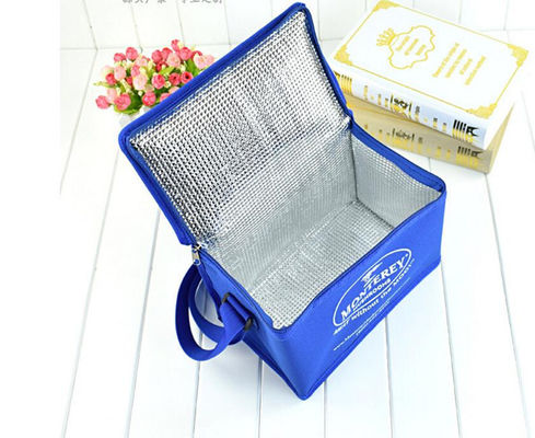 Portable Colorful Soft Insulated Cooler Bag With Different Size Available