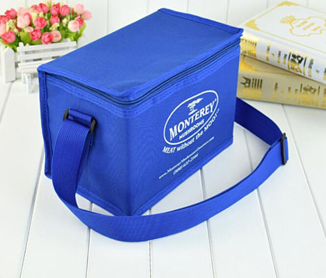 Portable Colorful Soft Insulated Cooler Bag With Different Size Available