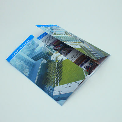 Full Color Business Cards And Brochures Coated Paper Catalog Flyers Print Service