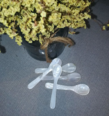 Natural Mother Of Pearl Caviar Spoon